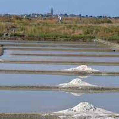 La cueillette du sel dans les marais salants de Guérande
